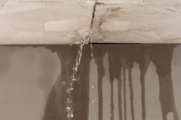 Professional Water Damage Restoration technician working in Mexia, TX